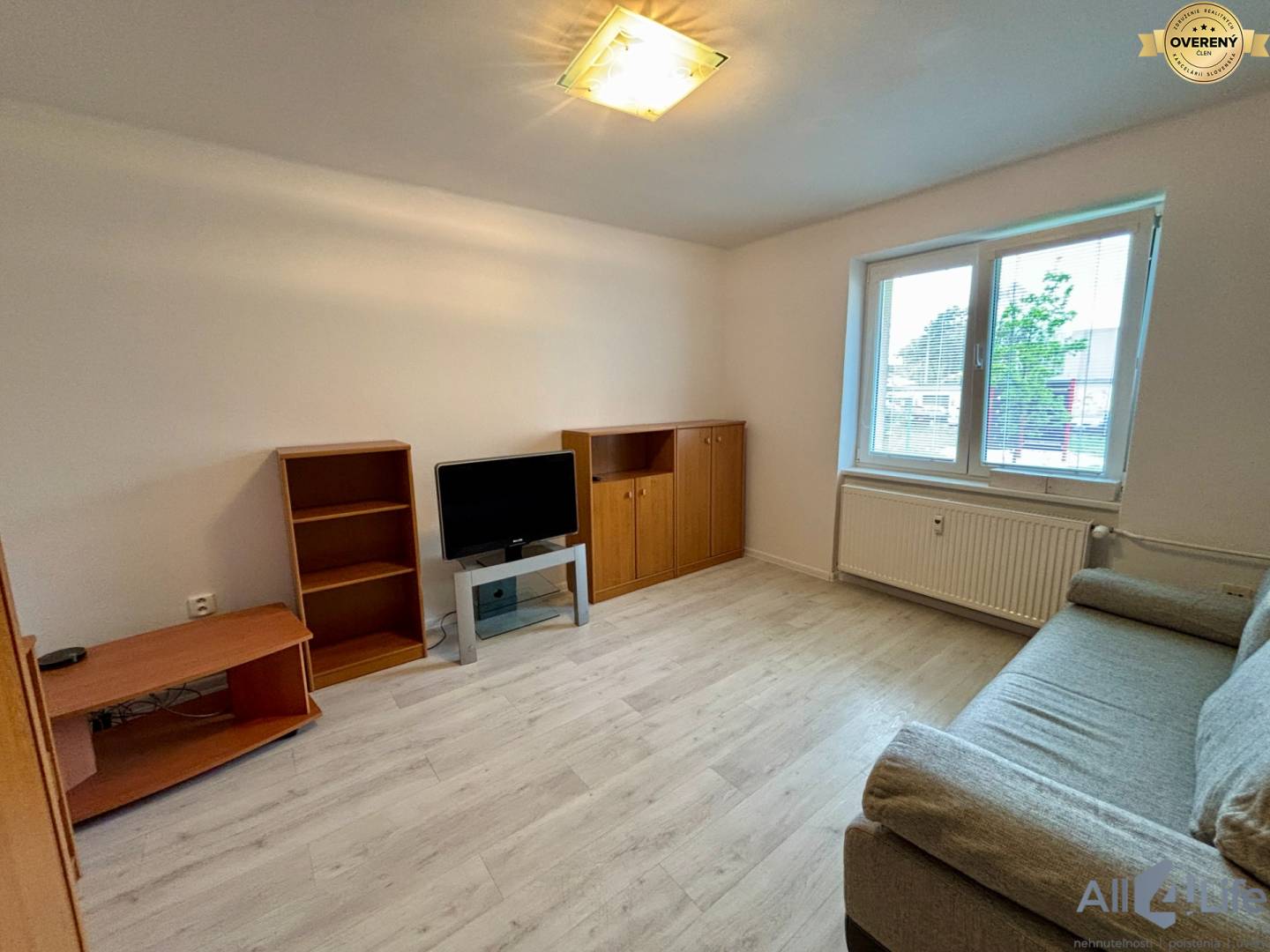 Obývacia izba v 1-izbovom byte s podlahou s dreveným dekorom, pohovkou a televízorom.